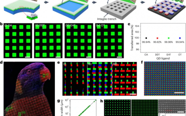 Nature Photonics：超高清双层转印高效印刷量子点发光二极管