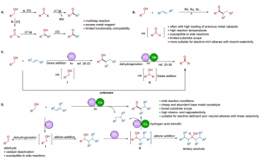 武汉大学Nature Commun：光催化/Co协同催化烯烃和醇合成醛