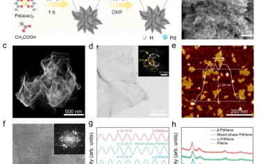 华中师范大学Nature Commun：Pd氢化物金属烯的晶格氢参与实现优异HER性能