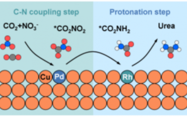 Adv Mater：双原子催化CO2电化学合成尿素