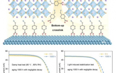 Joule：交联剂稳定的准二维钙钛矿用于太阳能模块