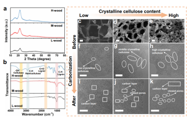 Nat Commun：揭示用于先进钠离子电池的废木材硬碳的闭孔形成