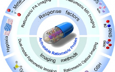 ACS Nano综述：可激活探针用于体内内源性生物标志物的比率成像