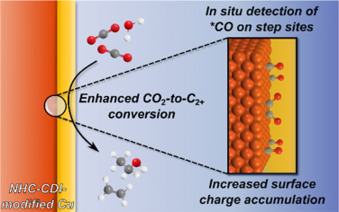 JACS：NHC-CDI修饰增强Cu电催化还原制备多碳产物