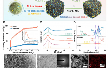 PNAS：三重协同小分子硫阴极有望实现高能Cu-S电化学