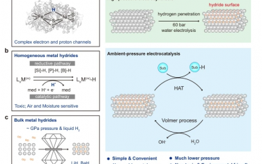 Nat Commun：压力诱导生成异质电催化金属氢化物表面以实现可持续氢转移
