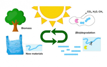 Chem. Soc. Rev.：设计可生物降解的聚合物替代品