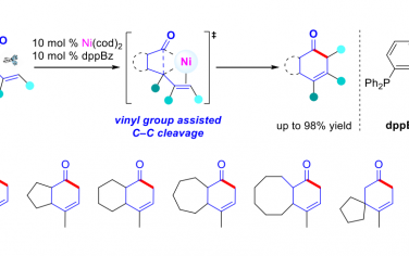 北京大学Angew：Ni(0)催化烯基环丁酮重排合成六元环烯酮