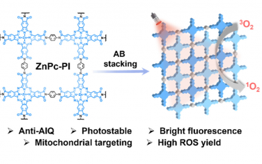 林文斌JACS：酞菁COF光动力学诊疗