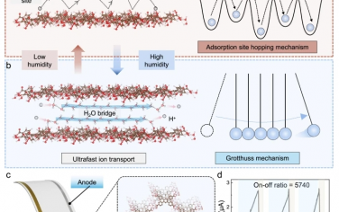 Nat Commun：基于二维氢键有机框架复合材料的高性能固态质子门控膜