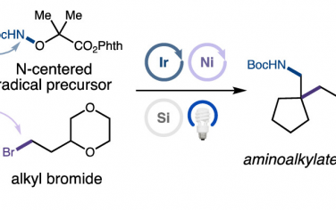 JACS：调节自由基分选实现烯烃氨基烷基化