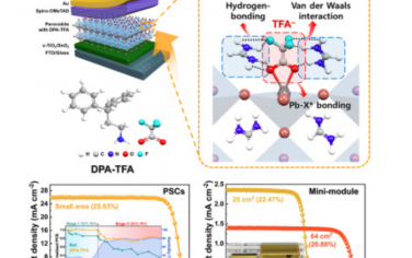 Joule：用于高性能钙钛矿太阳能小型组件的赝卤化物超分子设计原理