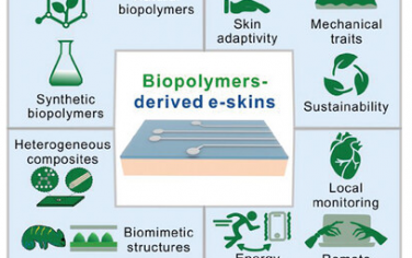 香港理工大学Adv Mater综述：生物聚合物在电子皮肤领域的材料设计和应用