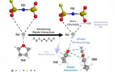 AEM：通过双弱相互作用调节稳定钠金属电池的双层溶剂化结构