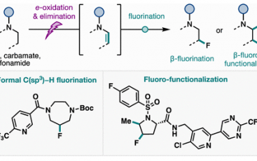 林松JACS：电催化含胺分子的α,β-不饱和化进行β-C(sp3)-H氟化