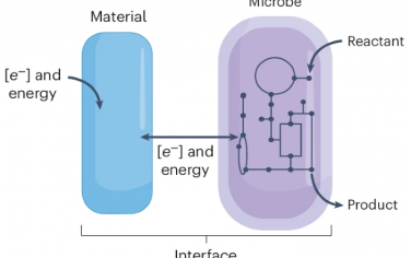 Nature Catalysis综述：材料-微生物复合催化转化CO2、N2