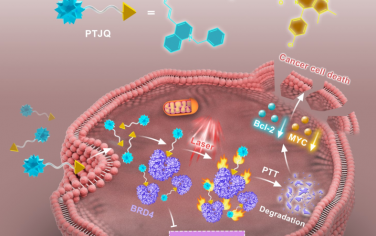 Angew：靶向BRD4的光热制剂用于实现可控的蛋白质降解