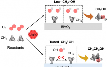 复旦大学Angew：BiVO4@Au限制界面OH促进光催化CH4合成乙醇