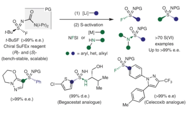 Nature Chemistry：对映体纯双官能S（VI）试剂实现磺酰亚胺、磺酰亚胺氟和磺酰亚胺酰胺的不对称合成