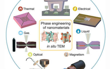Chem. Rev.：纳米材料相工程的原位TEM表征与调制