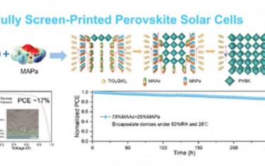 AEM：通过在介孔层内定制受限的钙钛矿结晶实现17%效率的全丝网印刷钙钛矿太阳能电池