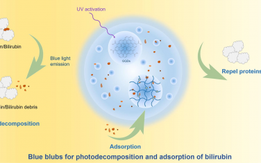 Materials Today：紫外线激活的“蓝色灯泡”用于胆红素的光解和吸附：去除蛋白质结合毒素的战略性纳米结构