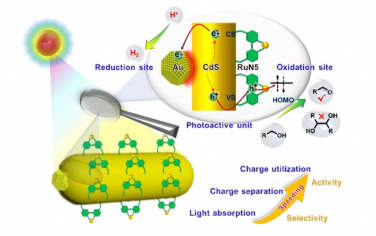 Angew:“CdS-Au纳米粒子-Ru分子”Plasmonic异质结光催化剂