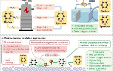 南京大学Nature Commun：表面限域自由基增强电催化烯烃环氧化