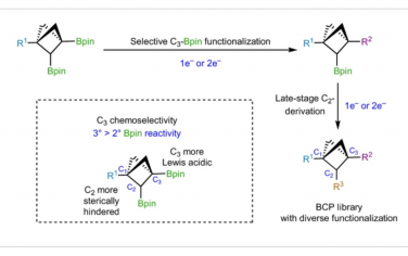 Nature Chemistry：桥取代双环[1.1.1]戊烷双硼酸酯的可编程后期功能化