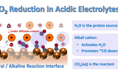 香港科技大学Angew：酸性电催化CO2还原反应的质子来源和碱金属阳离子作用