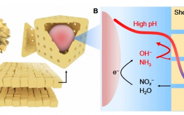 Science Advances：封装的 Cu 催化剂自增强局部碱度实现在中性电解质中高性能电催化还原硝酸盐/亚硝酸盐为 NH3