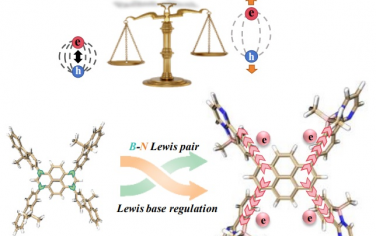 王心晨等Angew：B-N Lewis对调控激子增强共轭聚合物可见光催化