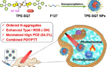 ACS Nano：具有增强的I型光敏性能的方酸菁超分子H-聚集体用于光动力-光热联合治疗