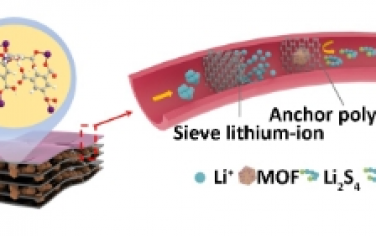 Angew：一种适用于高容量、长寿命锂硫电池的多功能金属有机框架柱状夹层设计