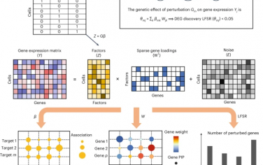 Nature Methods：一种新的贝叶斯因子分析方法改进了单细胞CRISPR筛选中受扰动影响的基因和生物过程的检测