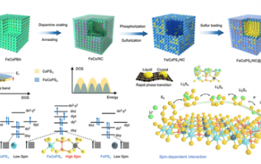 JACS：调节双金属三硫化磷的自旋态构型以促进硫氧化还原动力学