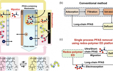 Nature Commun：氧化还原聚合物电化学吸附-降解消除多氟烃类PFAS