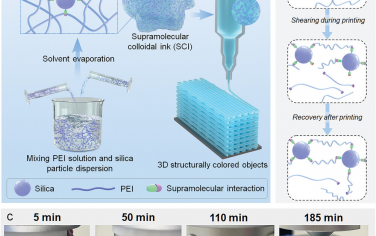 AFM：超分子 3D 打印可一步生成可修复、可回收的结构彩色物体