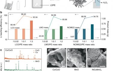 Nature Commun：废塑料和废电池处理制备NiCo/CNT和锂回收