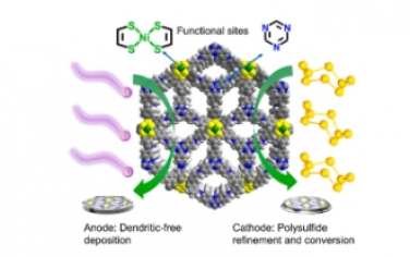 JACS：金属配位共价有机框架作为锂-硫电池中硫阴极和锂阳极的先进双功能主体