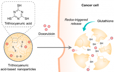 Nano Lett：一锅法合成基于三聚硫氰酸纳米粒子的氧化还原响应性药物递送系统