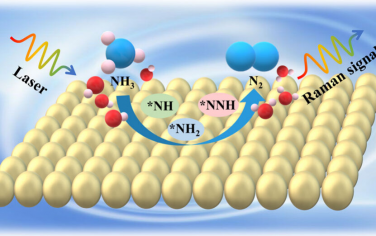 南开大学JACS：SERS表征研究电化学氨分解反应的中间体