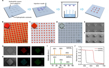 Science Advances：通过液滴辅助自对准实现钙钛矿单晶的精确排列