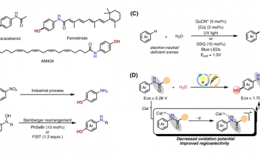雷爱文Nature Commun：光电催化芳基酰胺对位羟基化