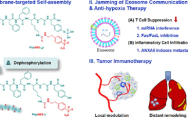 ACS Nano：水凝胶介导的外泌体通讯干扰可在肿瘤免疫微环境中对抗肿瘤适应
