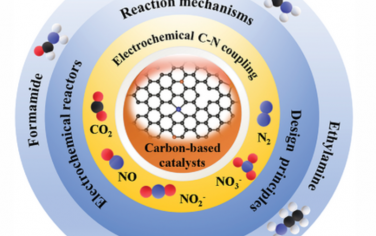 AEM：合理设计用于电化学碳氮偶联的碳基催化剂