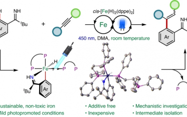 Nature Catalysis：Fe室温光催化C-H键烯基化