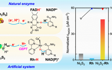 李灿院士JACS：Ni3S2-Rh分子构筑拟酶催化剂体系还原1,4-NAD(P)H