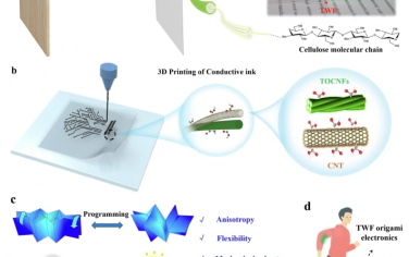 Nat Commun：可编程柔性木质折纸电子产品