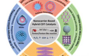 Chem. Soc. Rev.：设计用于增强癌症化学动力学治疗的各种基于纳米载体的混合催化剂的策略